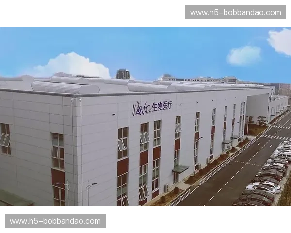 美洲杯订单：抓住蓝海机遇，点燃销量新高度